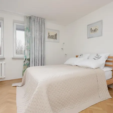 Luxury In The Heart Of The By Renters Apartment